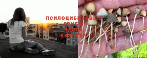 каннабис Сатка