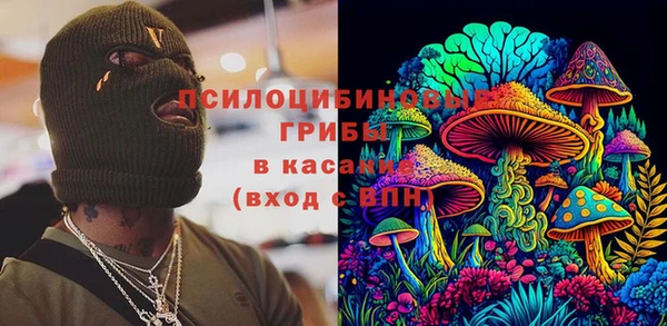 сатива Инсар