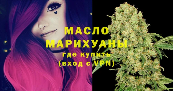 сатива Инсар