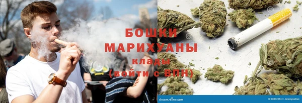 сатива Инсар